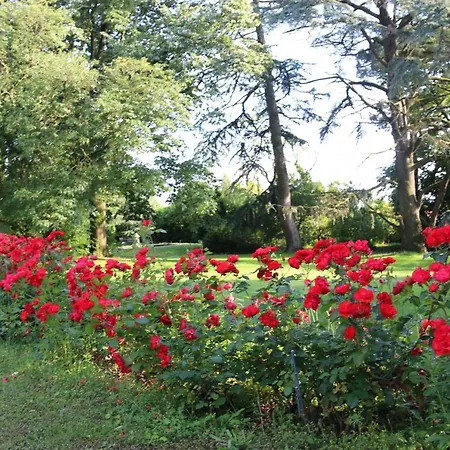 Le Chateau Des Tourelles En Vendee Bed & Breakfast La Gaubretiere
