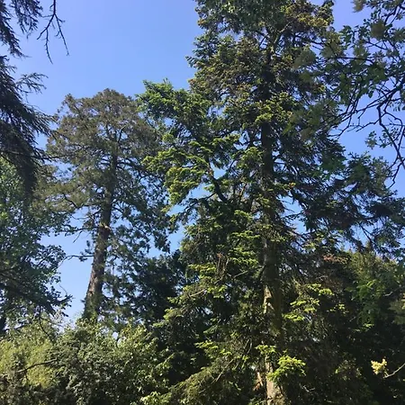 Le Chateau Des Tourelles En Vendee 3* La Gaubretiere