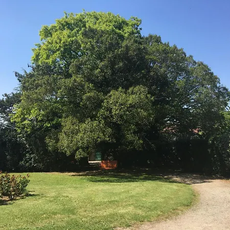 לינה וארוחת בוקר Le Chateau Des Tourelles En Vendee La Gaubretiere