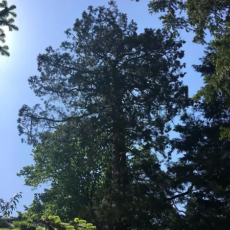 Le Chateau Des Tourelles En Vendee לינה וארוחת בוקר La Gaubretiere