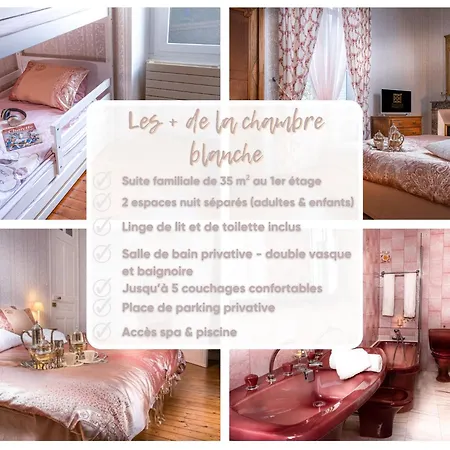 Le Château Des Tourelles En Vendée Bed and breakfast