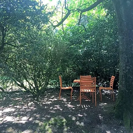 Bed & Breakfast Le Chateau Des Tourelles En Vendee La Gaubretiere