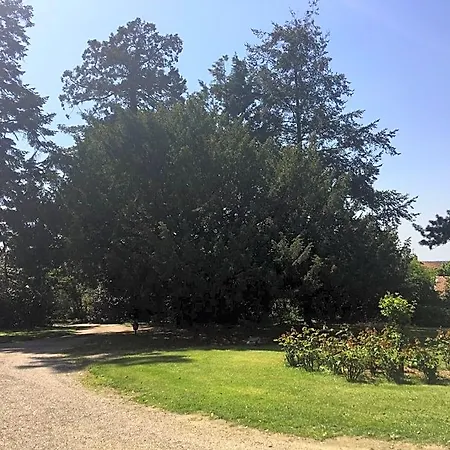 Le Chateau Des Tourelles En Vendee 3*