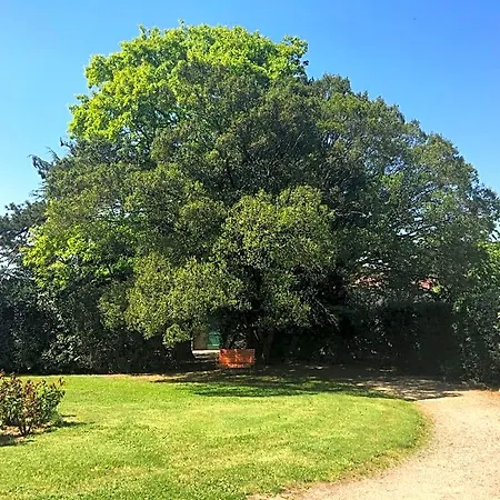 Le Chateau Des Tourelles En Vendee La Gaubretiere