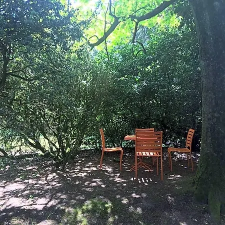Bed & Breakfast Le Chateau Des Tourelles En Vendee