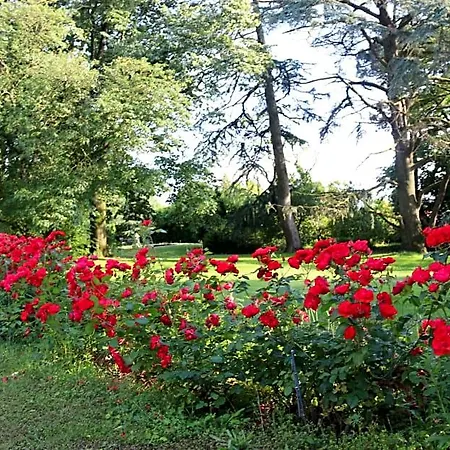 Le Chateau Des Tourelles En Vendee