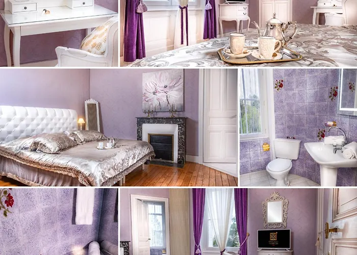 Le Château Des Tourelles En Vendée Bed and breakfast La Gaubretiere